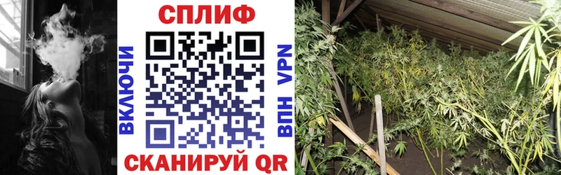 Канабис индика Руза